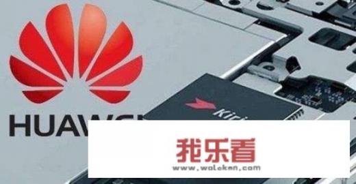 华为玩谷歌游戏一会就闪退？