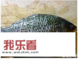 豆瓣鲫鱼如何做？