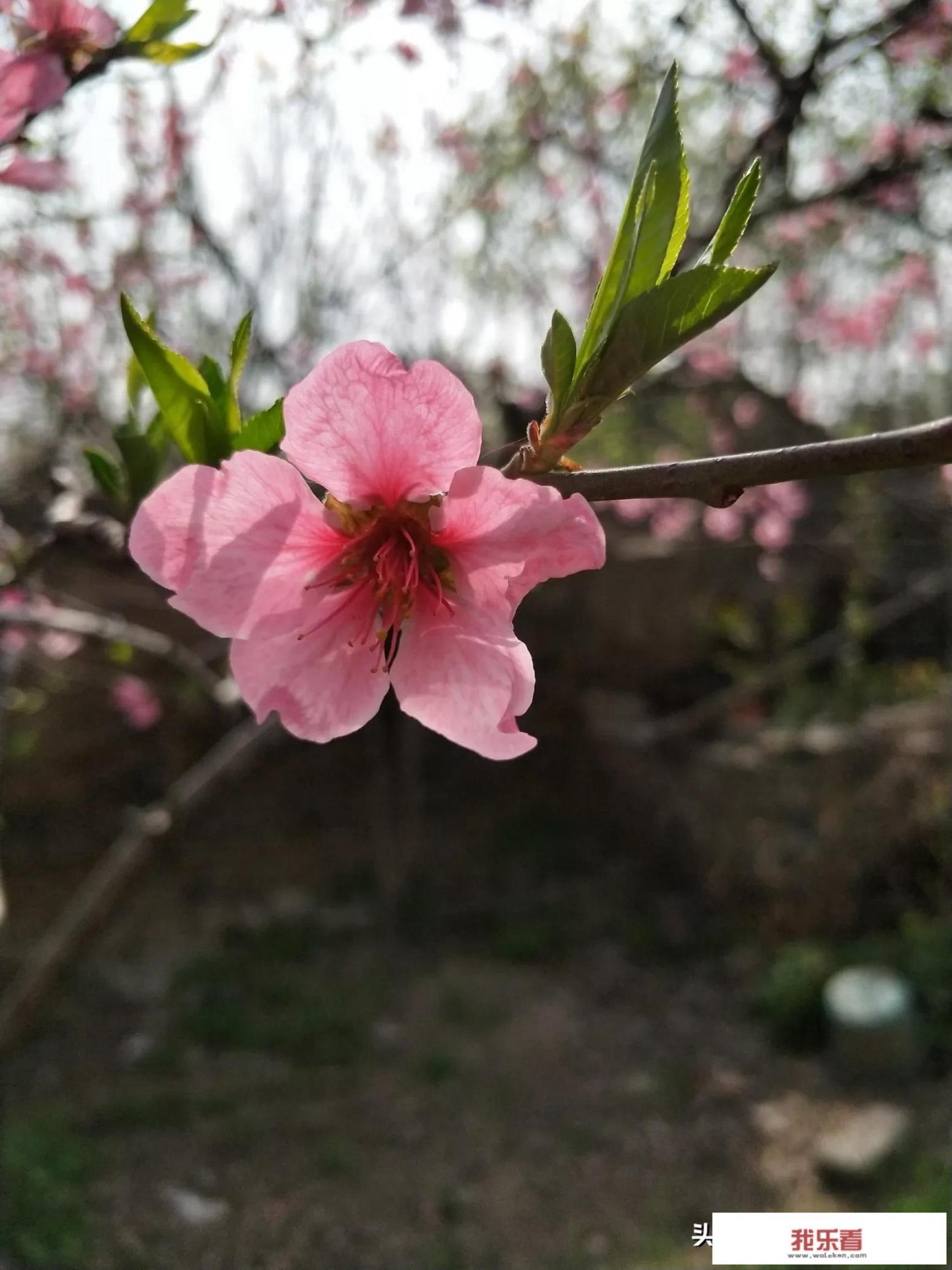 补课班如何招生? 补课班如何招生?