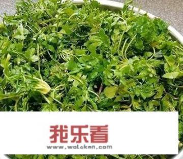 五馅包馅料配方？