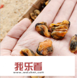 淡菜干怎么洗？