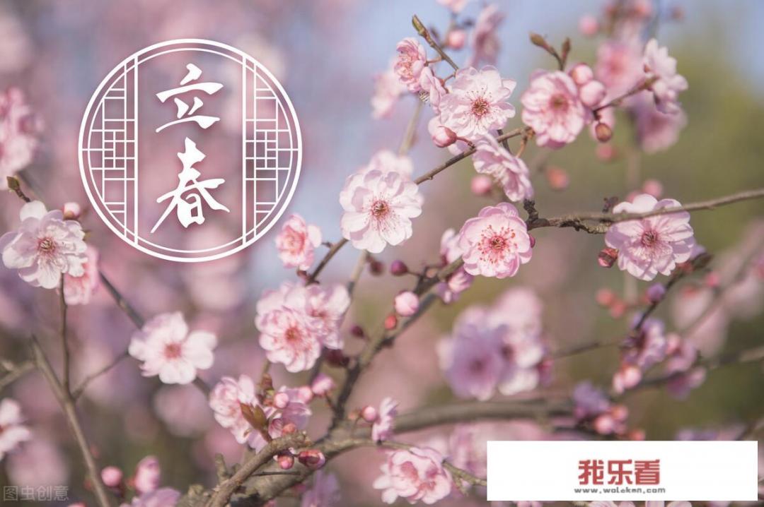 2023年是什么兔年？