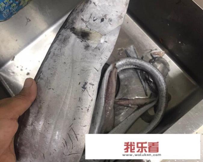 做带鱼怎么去腥味？