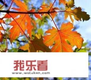 女性人体外器官科普？