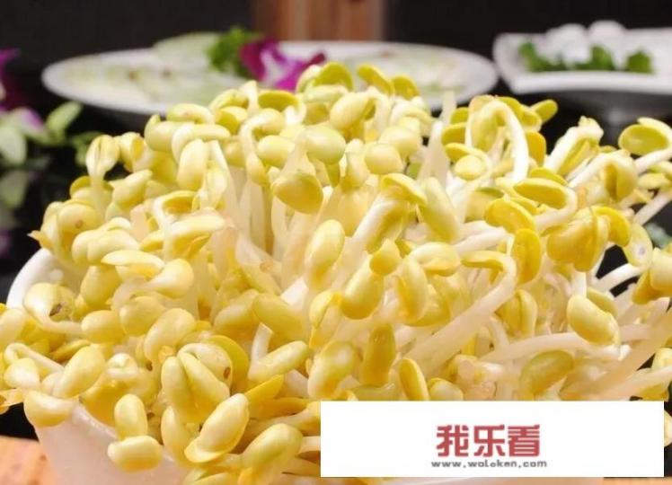 黄豆豆芽的蛋白质多吗？是嘌呤食物吗？