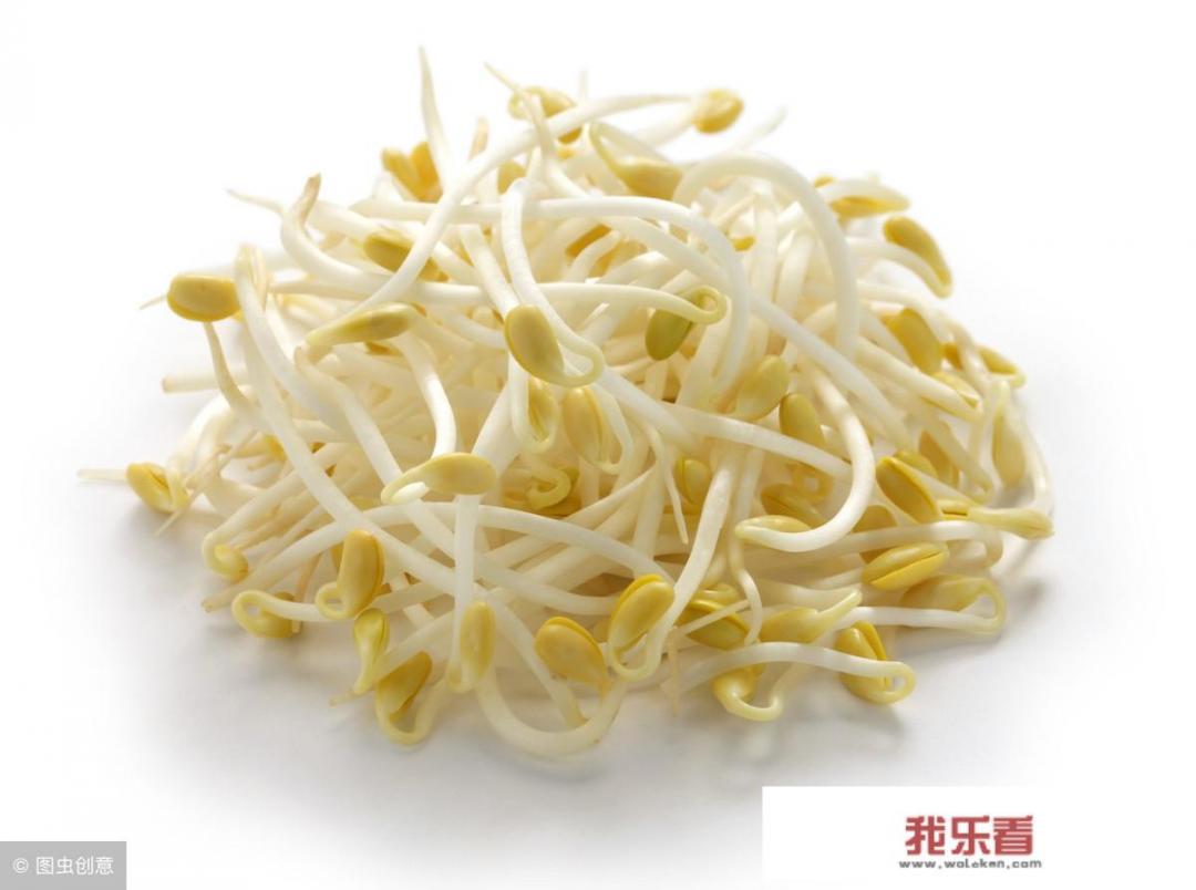 黄豆豆芽的蛋白质多吗？是嘌呤食物吗？