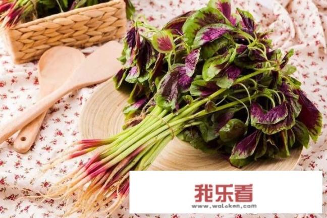 健康科普丨苋菜的营养价值有哪些？