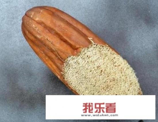 丝瓜籽的药用功效？