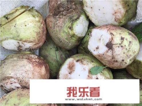 圆白菜（俗称大头菜）去怪味的做法？