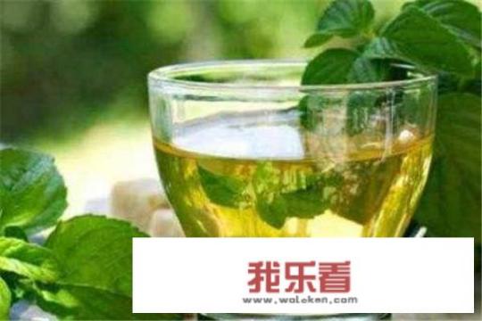 薄荷茶怎么做？