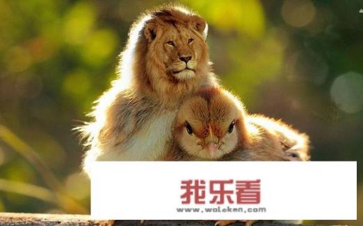 华为手机琥珀灰和钛银灰有啥区别？