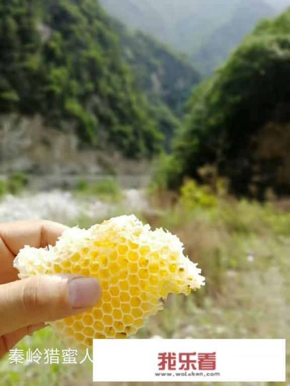 蜂蜜分几种，有什么功效？
