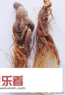 红参跟高丽参什么区别？