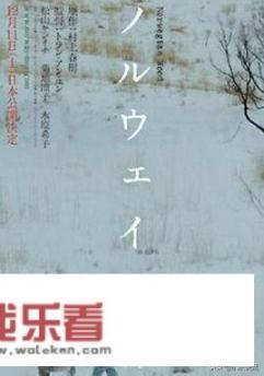 为什么我看不懂树上春树的《挪威的森林》？没有那种体验？