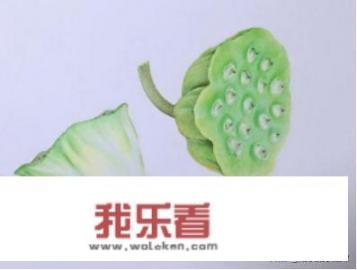 适合小学生画画用的，性价比高的平板电脑，各位亲亲推荐一下感谢？
