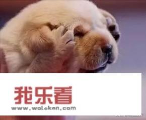 人可以有多搞笑？