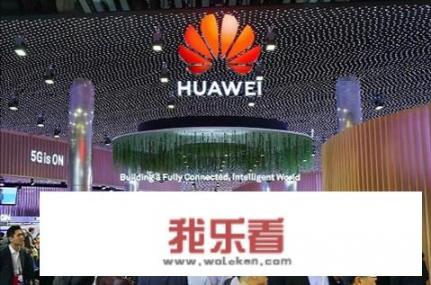 你觉得厦门哪些企业能成长为华为腾讯一样？美亚，美图，科华？