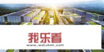 你觉得厦门哪些企业能成长为华为腾讯一样？美亚，美图，科华？