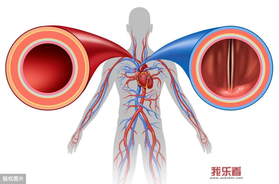 人体细胞的震动频率是多少？