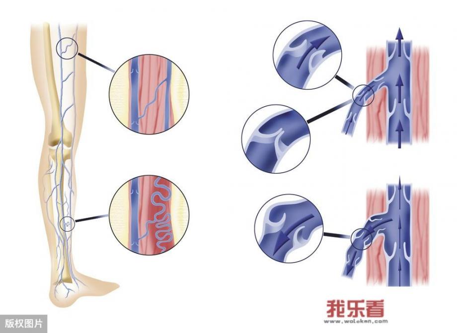 人体细胞的震动频率是多少？