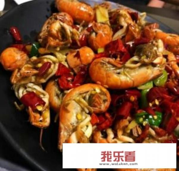 狗头鱼哪个品种漂亮？