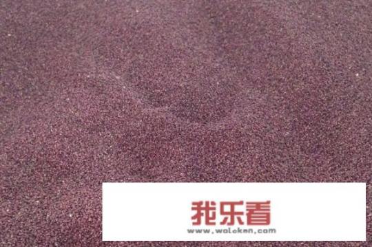 树莓种植方法全过程？