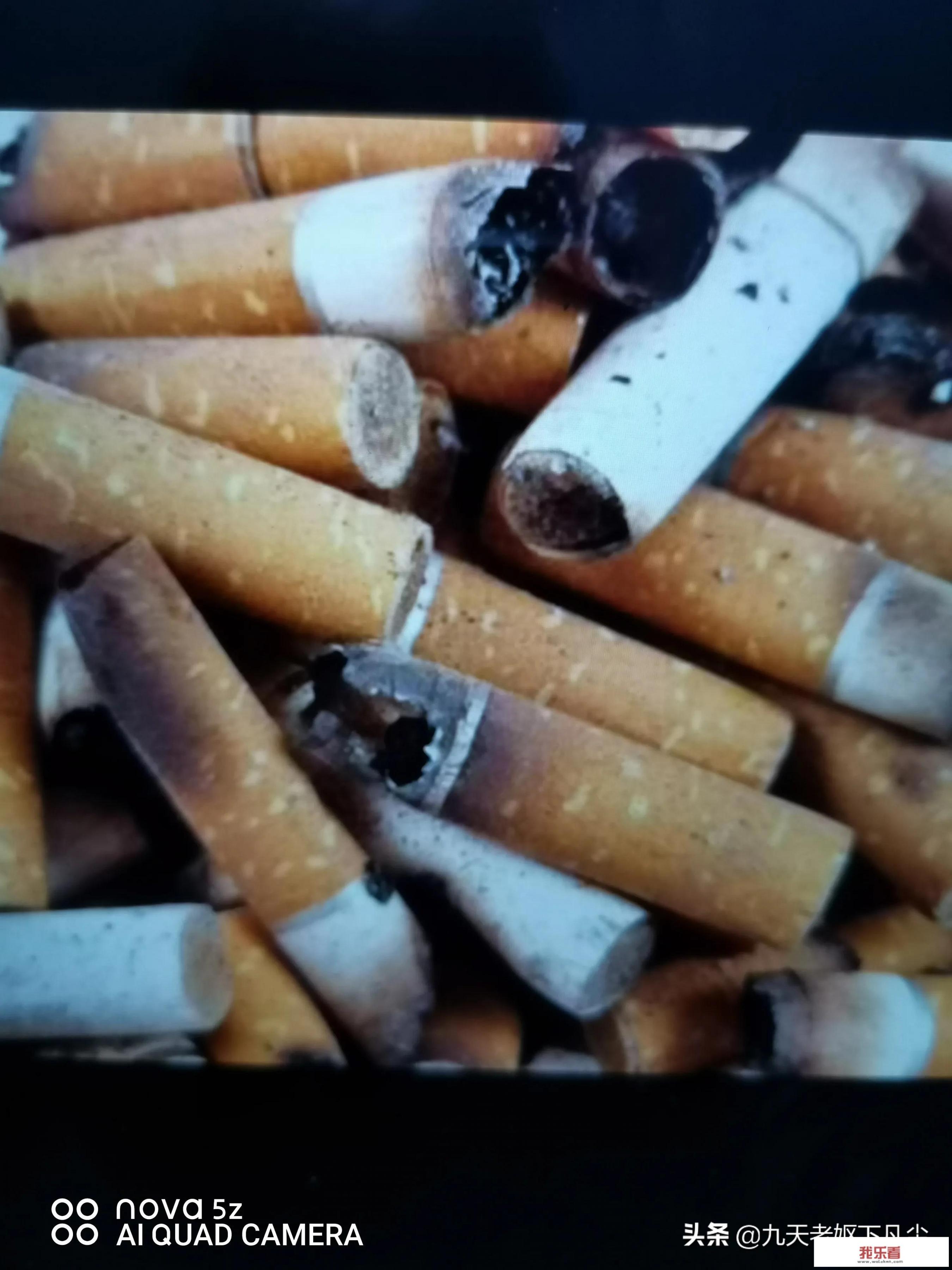 20周孕中期半夜宝宝总是动正常吗？