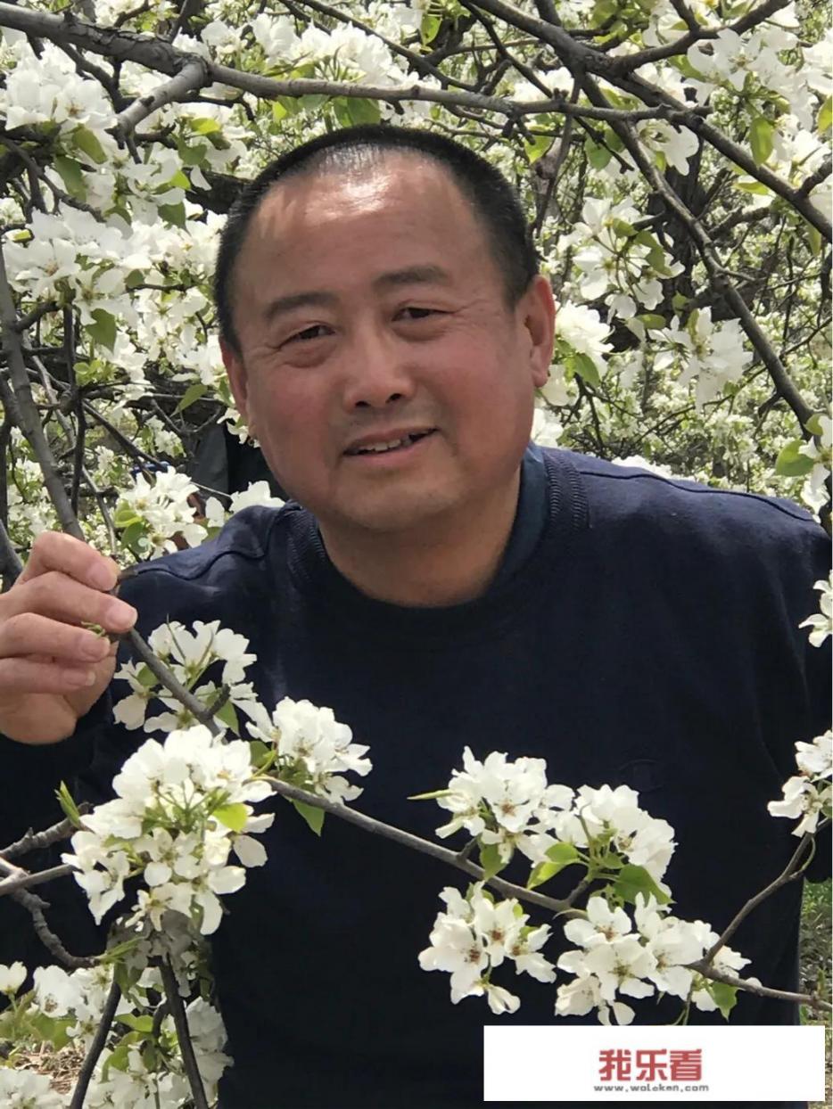 什么是红薯？