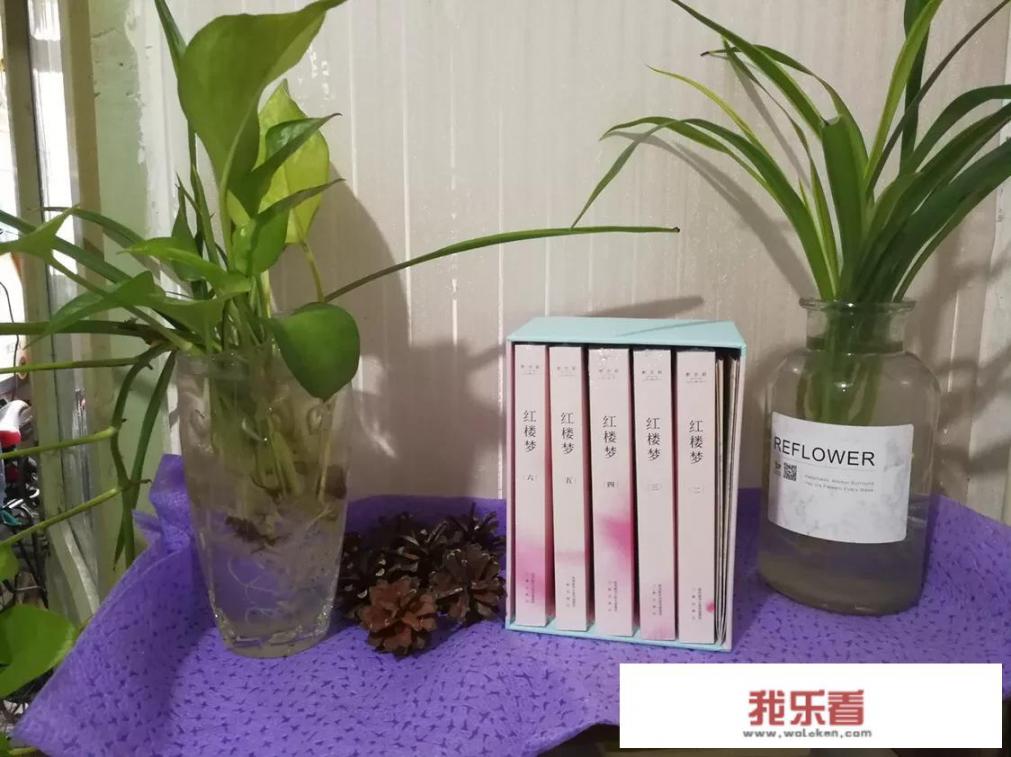 利箭纵横赵老爷是谁演？