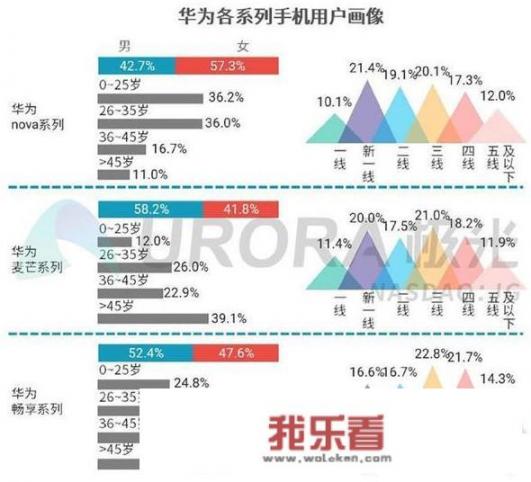 华为的消费者群体分析？