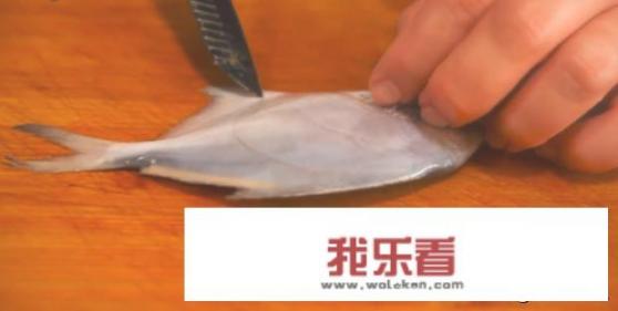 如何制作清蒸鲳鱼？