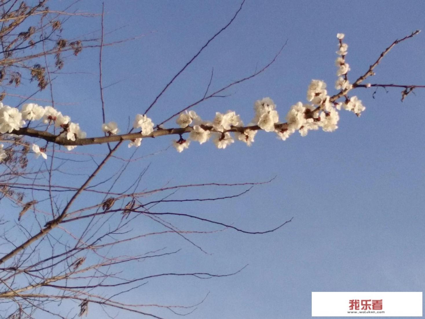 愚人节搞笑诗句？