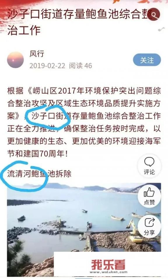 一品鲍鱼什么意思？