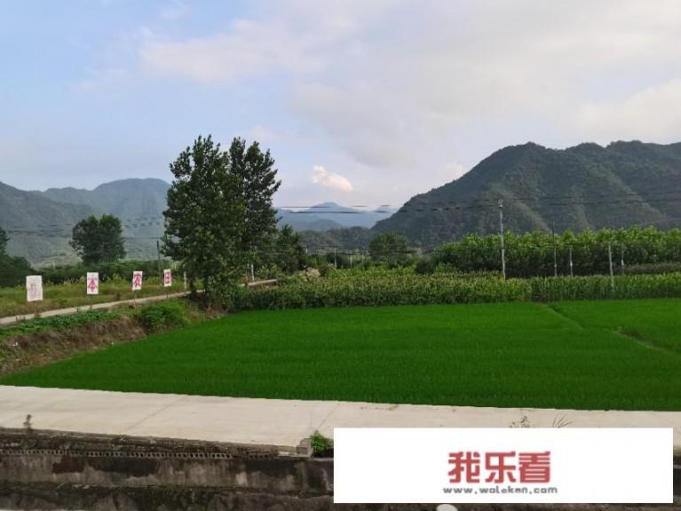 马上到了一枝花的年纪，想去旅行，选摩托车还是汽车更好一些呢？