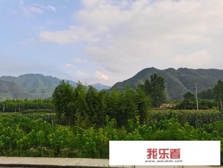 马上到了一枝花的年纪，想去旅行，选摩托车还是汽车更好一些呢？