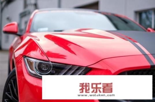 “什么之家”的词语有哪些？