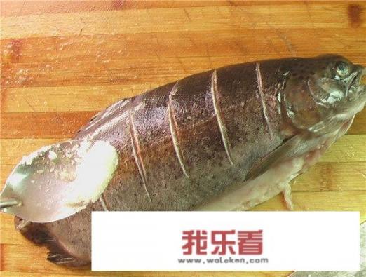 清蒸金鳟鱼怎么做好吃又简单，做法图解分享，食尚文文？