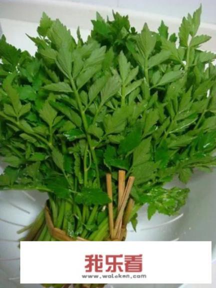 野芹菜能吃吗，是否有毒？