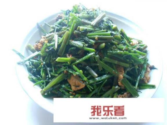 野芹菜能吃吗，是否有毒？