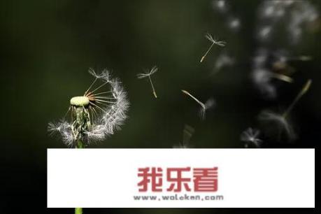 心理健康主题班会体验式的四个阶段？