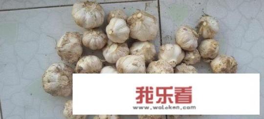 醋泡大蒜的正确做法？