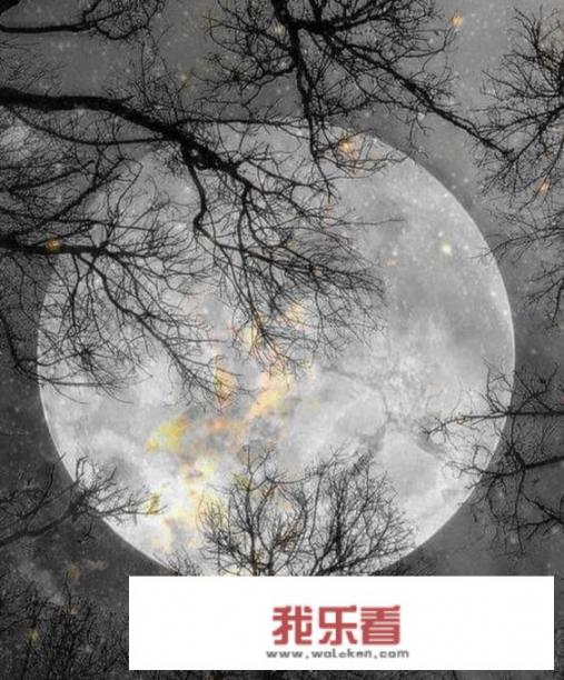 道法自然是什么意思，该怎么理解？