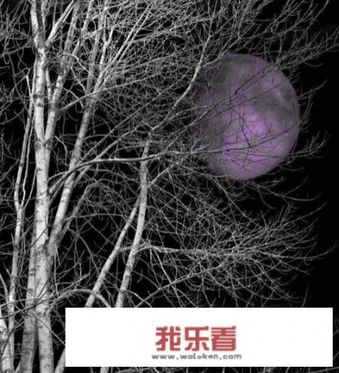 道法自然是什么意思，该怎么理解？