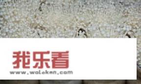 金针菇怎样种植？