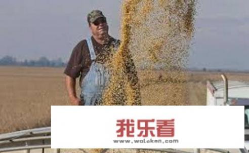 三大运营商解除苹果合作利好华为及中兴吗？