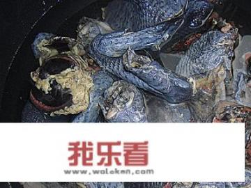 气血两补煲鸡汤咋做？