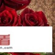 七夕到了，跟女朋友认识一个月，送什么礼物合适，她属于文静，可爱型的？