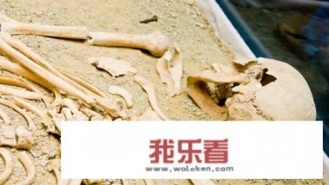 尸变图鉴适合多大孩子看？