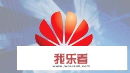 为什么很少有公司采用华为的融资模式？