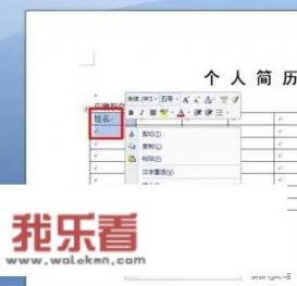 怎样用word2007制作个人简历表？